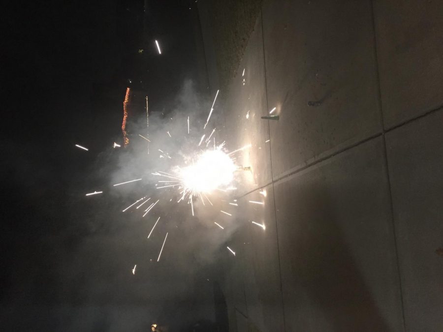Many+people+celebrate+Diwali+with+sparklers+and+such%21