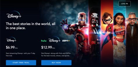 Could Your Disney+ Account be Hacked if You Share a Password?