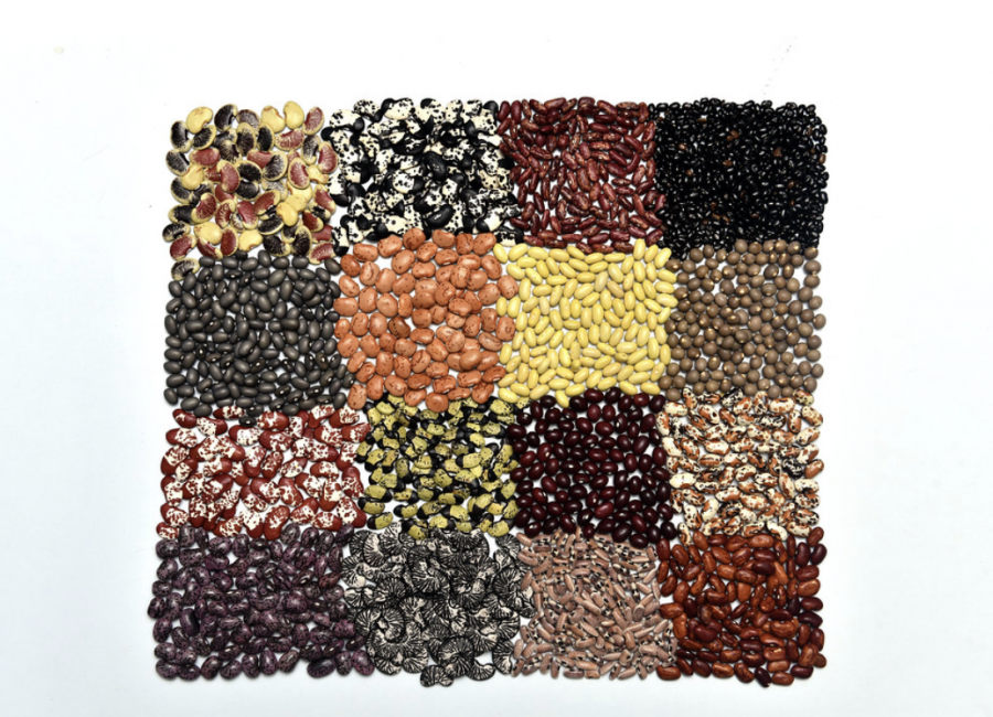 Diverse Bean Blend Resemble Medley of Influences in Contemporary Culinary Culture.