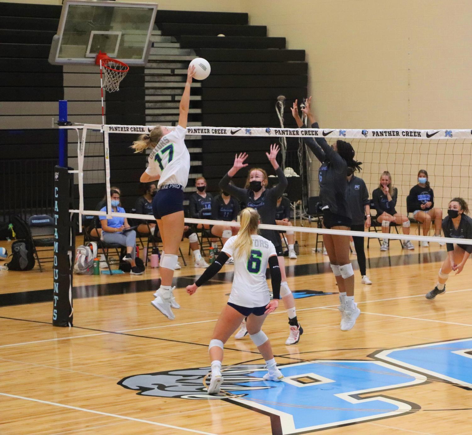 Volleyball Defeats Rivals – The Gator's Eye