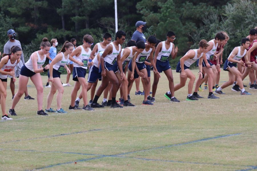 Cross Country Hits Their Stride