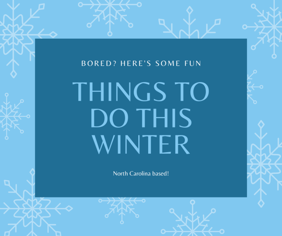 Looking for something to do this Winter? Check out these ideas! Graphic by C. Andrews.