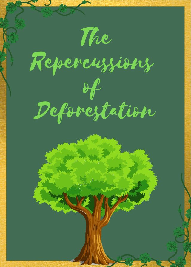 Deforestation+is+Killing+Us