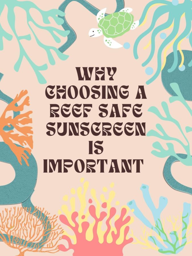 Choosing a reef-safe sunscreen can greatly benifit the environment.