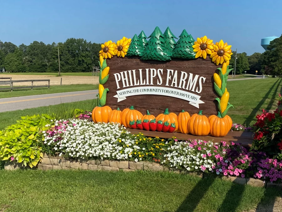 Phillips Farm is now open for visits! 