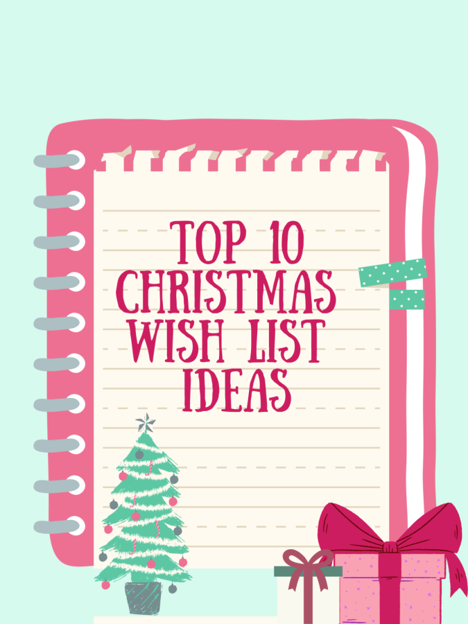 Not sure what you want for Christmas? Here are some ideas!