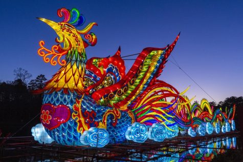 The Chinese Lantern Festival is back! 