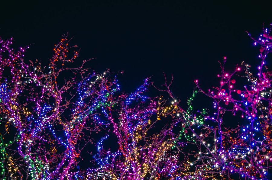 See Christmas lights at Holt Road.