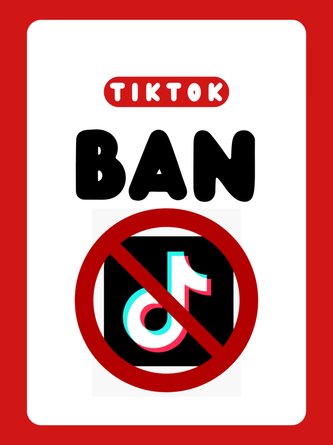 The TikTok Ban