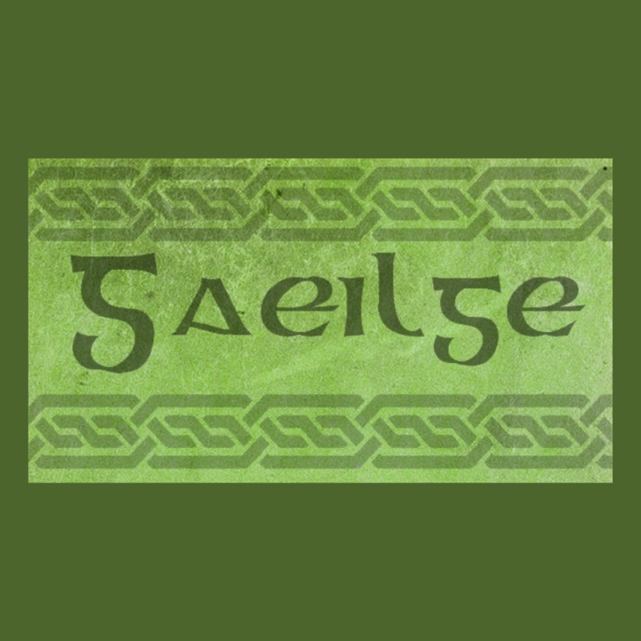 Irish Gaelic: A Language Nearly Lost