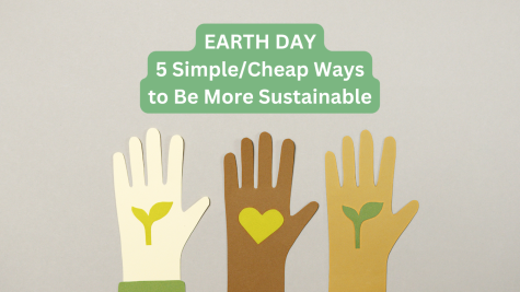 In honor of Earth Day, here are 5 ways for you to be more sustainable.