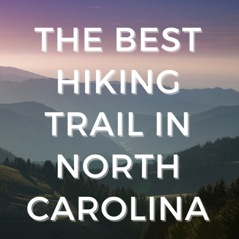The Best Hiking Trail In North Carolina