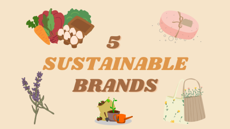 5 Sustainable Brands/Stores