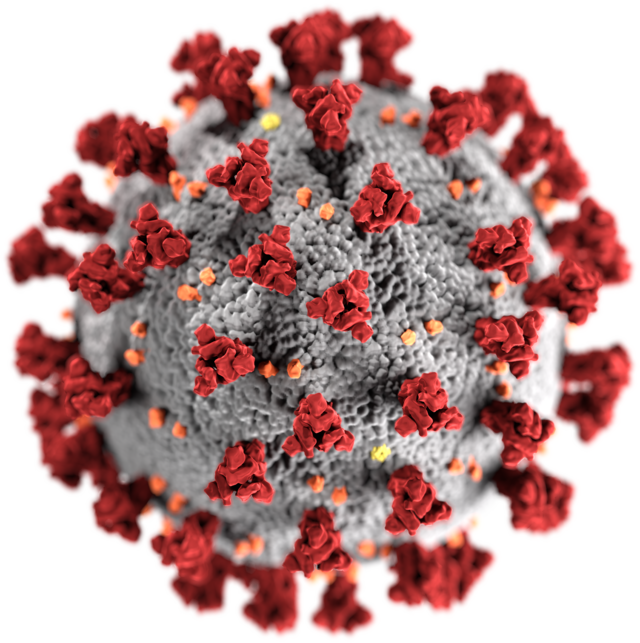 The COVID virus is relentless as a new variant emerges and worries scientists and doctors worldwide.