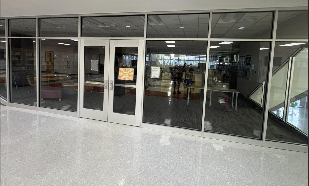 The media center: home to endless books and incredible staff. 