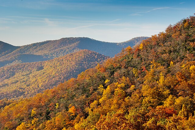 Why Fall is the Best Season